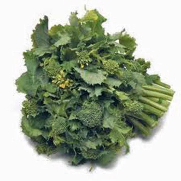 Broccoli Raab Seeds, Heirloom Variety, 25+ Seeds, Delicious Culinary Delight, Brassica rapa subsp. ruvo