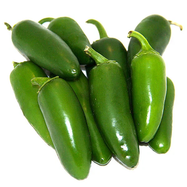 Early Jalapeno Pepper Seeds | Heirloom Non-GMO Variety | Capsicum annuum