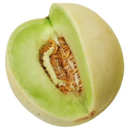 Honeydew Seeds - Organic Heirloom Green Flesh Winter Melon - NON-GMO - 50+ Seeds