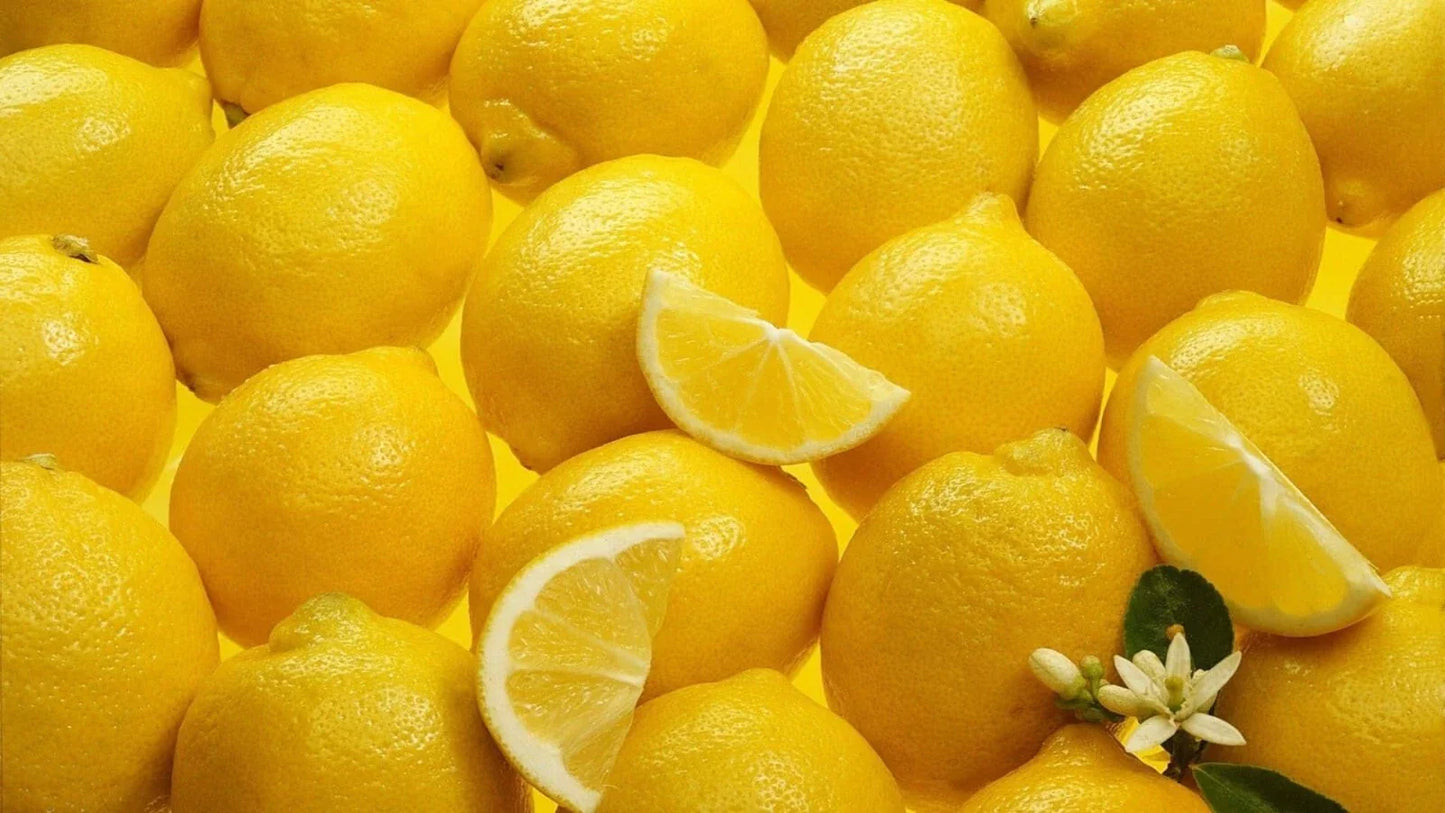 Organic Meyer Lemon Scions Cuttings 4-6 in Long for Rooting and Grafting, Citrus limon 'Meyer'