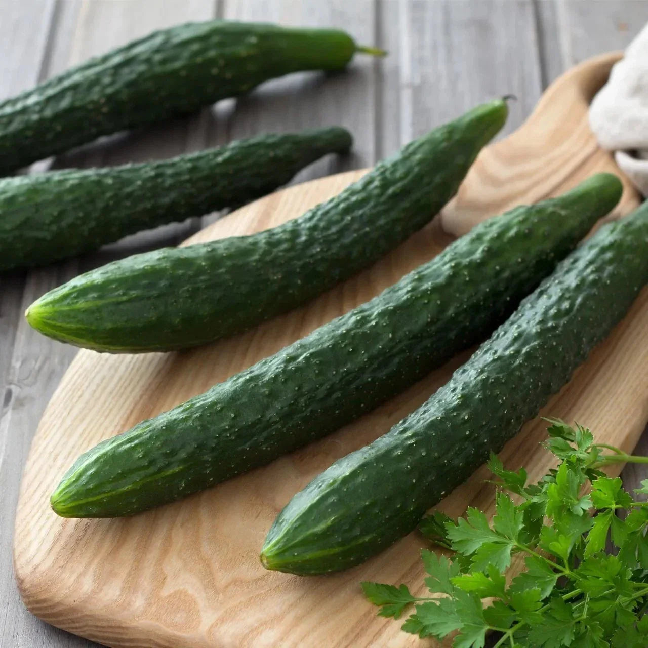 Suyo Long Cucumber Seeds - 50+ Heirloom Organic Non-GMO - Rare Cucumis sativus
