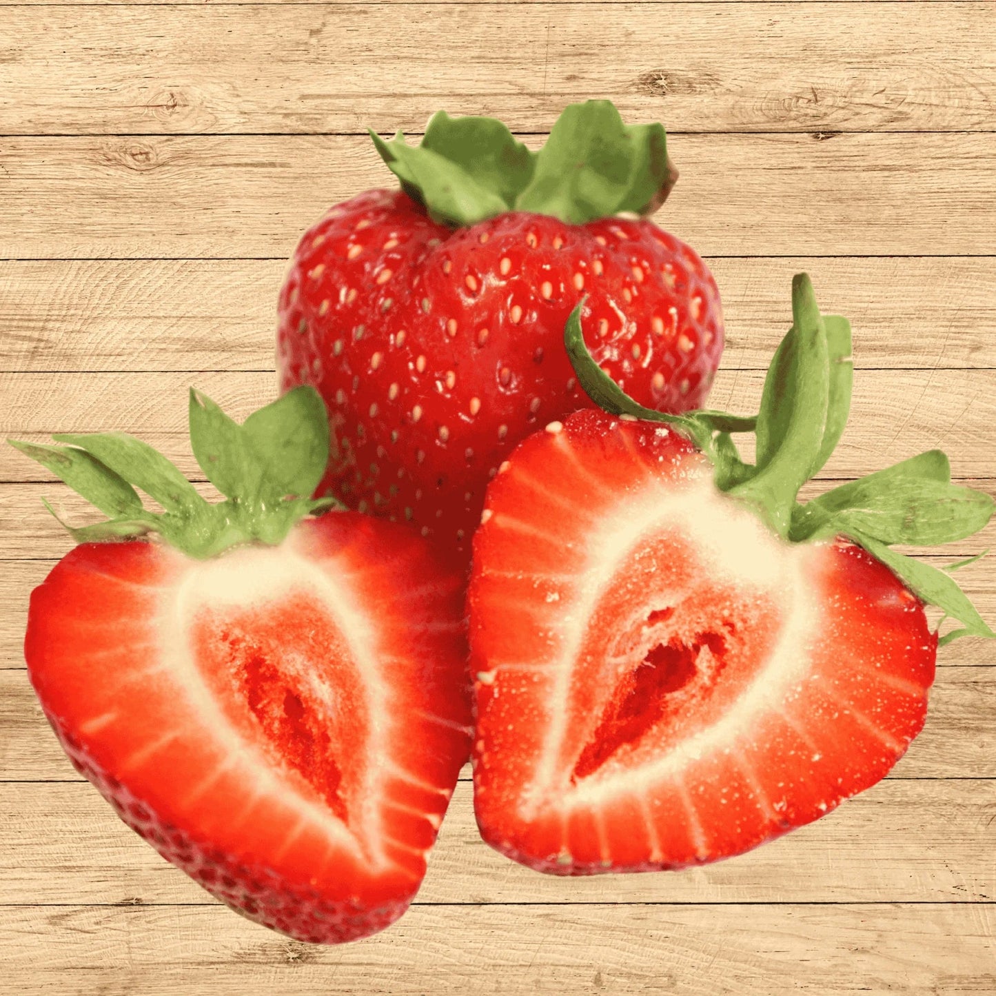 Albion Strawberry Roots - 15 Bare Root Plants | Day-Neutral Everbearing Variety (Fragaria × ananassa)
