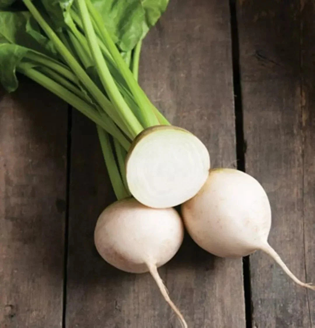 White Albino Beet Seeds - 500+ Heirloom Organic NON-GMO Seeds - Fresh Vegetable Garden Seeds
